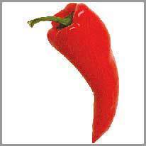 en rød pepper