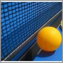 la pilota de ping-pong