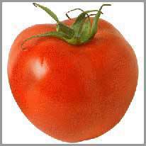 en tomat