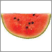 en vannmelon