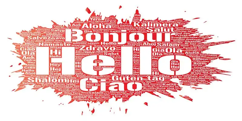 © high_resolution - stock.adobe.com | Vector concept or conceptual brush or paint hello or greeting international tourism word cloud in different languages or multilingual. Collage of world, foreign, worldwide travel, translate, vacation