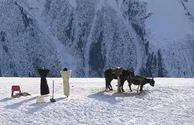 Places where Adyghe is spoken