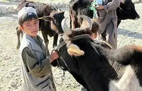 Places, Where Pashto is spoken