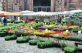 Places, Where German is spoken