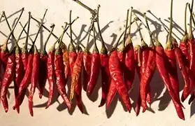 Places where Kurdish is spoken