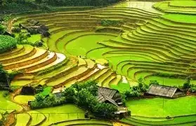 Places, Where Vietnamese is spoken