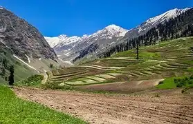 Places, Where Pashto is spoken