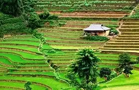 Places where Vietnamese is spoken