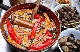 Places where Vietnamese is spoken