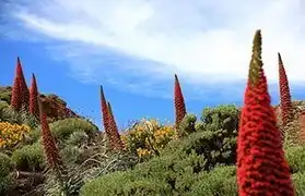 Places, Where Spanish is spoken