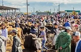 Places, Where Kyrgyz is spoken