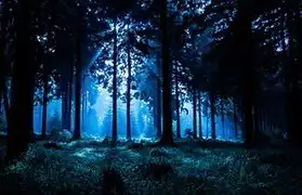 Places where German is spoken