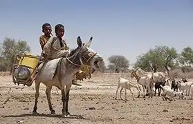 Places where Tigrinya is spoken