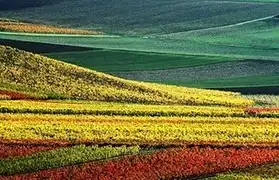 Places where German is spoken