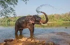 Places, Where Malayalam is spoken