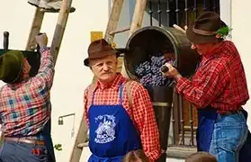 Places where Slovenian is spoken