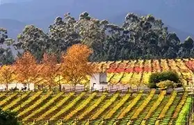 Places where Afrikaans is spoken