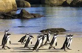 Places, Where Afrikaans is spoken