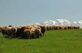 Places, Where Slovenian is spoken