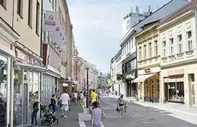 Places, Where Bosnian is spoken