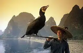 Places where Chinese is spoken