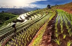 Places where Thai is spoken