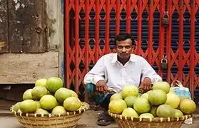 Places where Bengali is spoken
