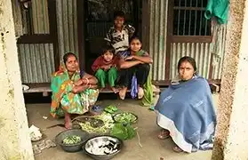 Places where Bengali is spoken