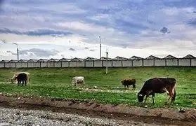 Places where Adyghe is spoken