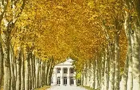 Places where French is spoken