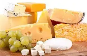 Places where Dutch is spoken