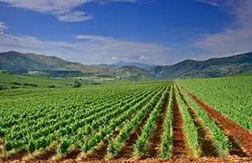 Places where Macedonian is spoken