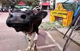 Places where Kannada is spoken