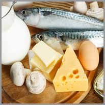 contain | Fish, cheese, and milk contain a lot of protein.