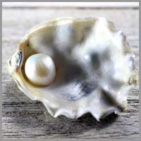 található | Egy gyöngy található a kagyló belsejében.