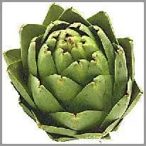 da artichoke