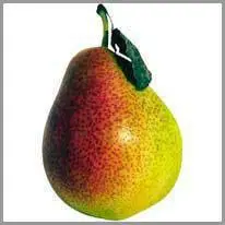 pear