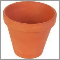 flower pot