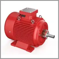 electric motor