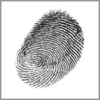 fingerprint