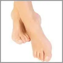 foot