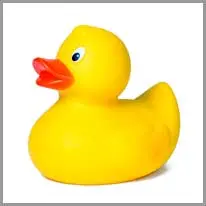 rubber duck