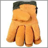 glove