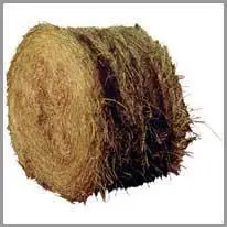 hay bale