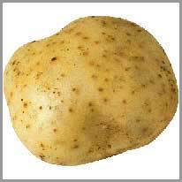 de aardappel