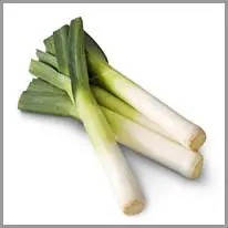 leek