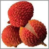 il lychee