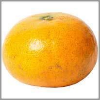 de mandarijn
