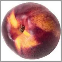 de nectarine