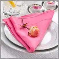 napkin